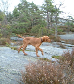 Scott 6 months old 2